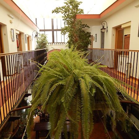 شيبيونا Hostal Cristina المظهر الخارجي الصورة