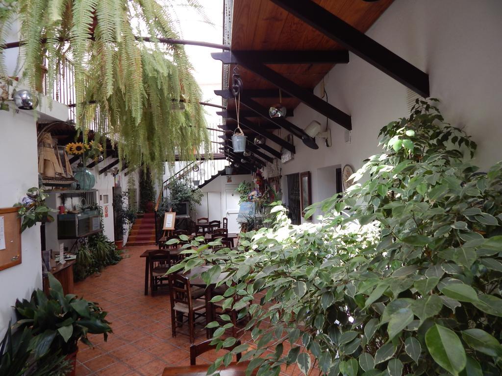 شيبيونا Hostal Cristina المظهر الخارجي الصورة